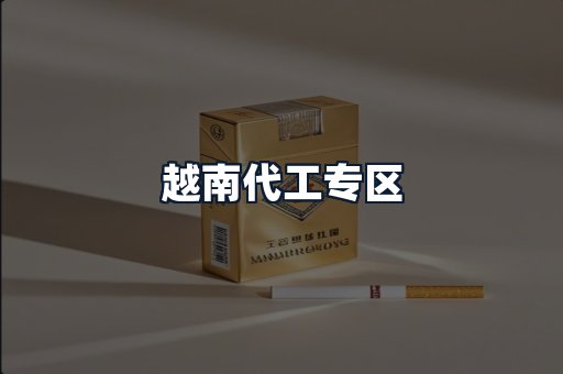 越南代工专区